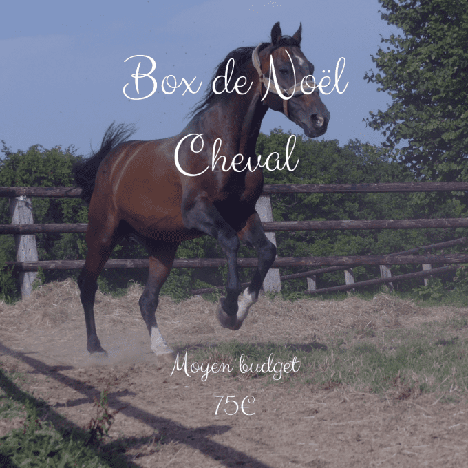 Box de Noël Cheval moyen budget 