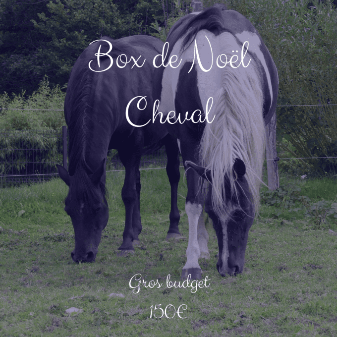 Box de Noël Cheval Grand budget