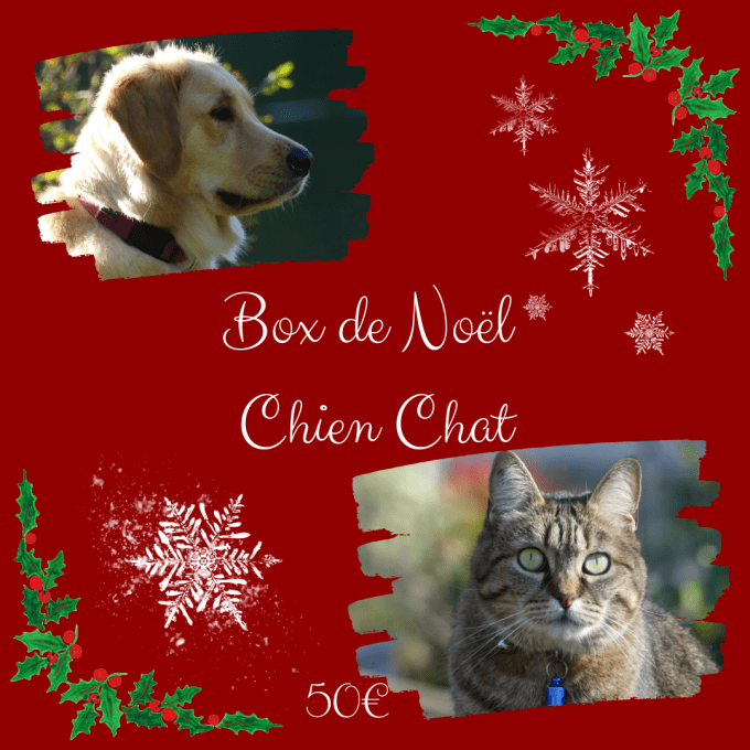 Box de Noël Chien Chat