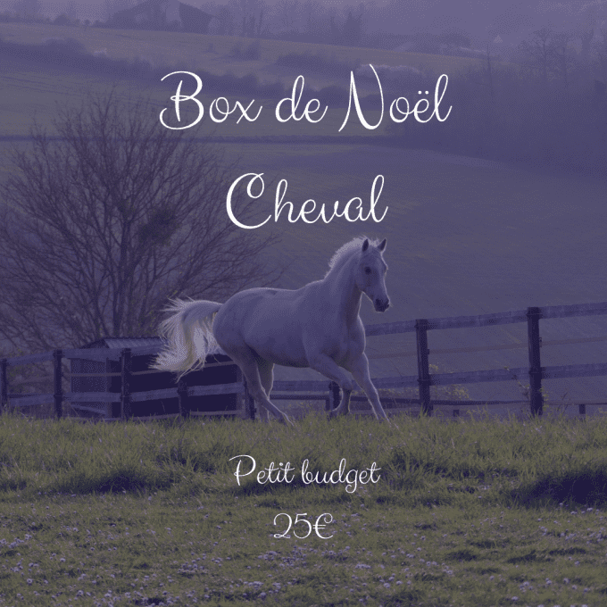 Box de Noël Cheval petit budget 